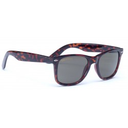 Lunettes solaires Smith Wayfarer